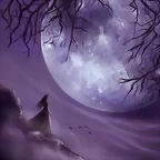 fantasy-11