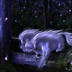 Enchanted-1