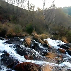 DSCN6695
