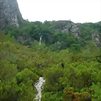 DSCN3877