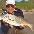 corvina-rubia-con-mosca3