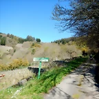 DSCN5206