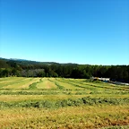 DSCN2340