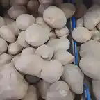 Patatas de Almonater