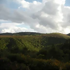 DSCN8446