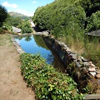 DSCN7723