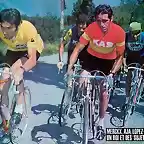 TOUR 1974-MERCKX-CARRIL-POPU-AJA.