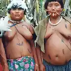 indigenas