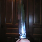 bowie 6