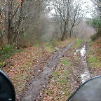 DSCN5589