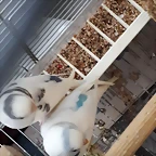20190507_200448