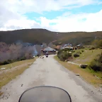 DSCN9485