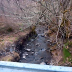 DSCN4040