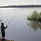 pescando