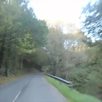 DSCN9940