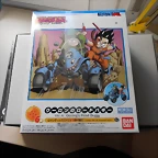 DSCN6025