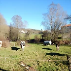 DSCN1672