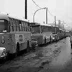 Badalona Huelga autobus (2)