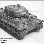 Tiger I_016 (101) b