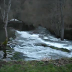 DSCN2890