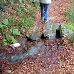 DSCN0691
