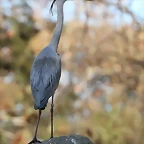 Zoo de Barcelona 16-02-12 460