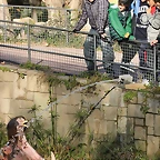 Zoo de Barcelona 16-02-12 308