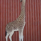 Zoo de Barcelona 16-02-12 094