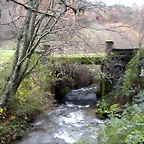 DSCN0994