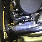 215379987C3952F7F9282C52F7F8DC