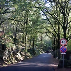 DSCN1633