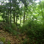 P6010238