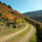 DSCN4626