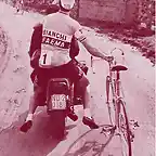 Gimondi-Moto