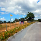 DSCN6317