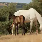 34, madre e hijo, marca