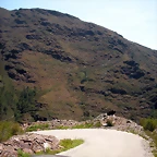 DSCN5795
