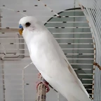 20190518_131753