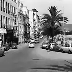 Ceuta Paseo de las Palmeras