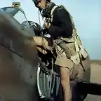 Piloto canadiense con su Spitfire en el Norte de frica