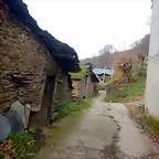 DSCN2100