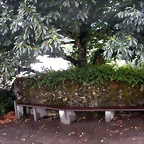 DSCN8363