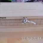 CIMG0873