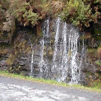 DSCN7151