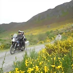 DSC01019