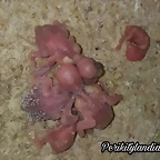 FB_IMG_1574040296777
