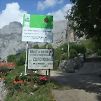DSCF5603