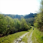 DSCN4822