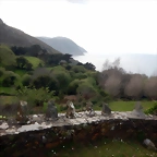 DSCN5140