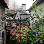 IMG_6598